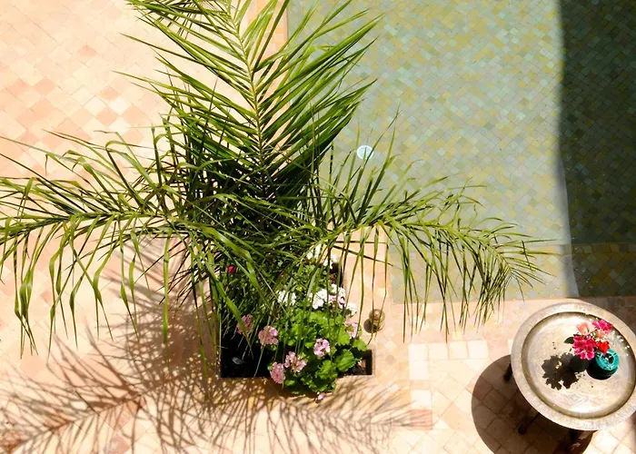 Riad Les Hibiscus